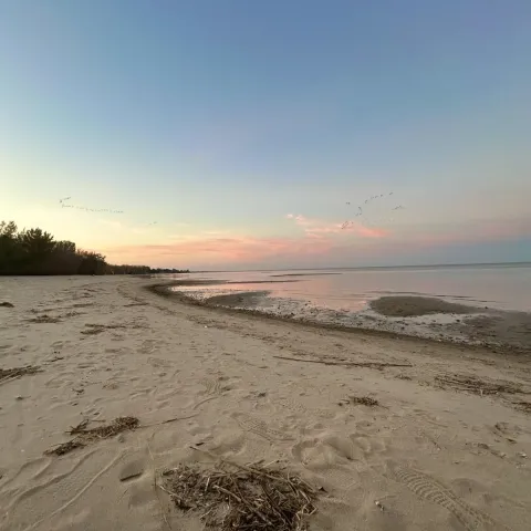 Congresswoman Kristen McDonald Rivet | Representing Michigan's 8th District