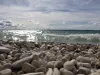 GreatLakes1